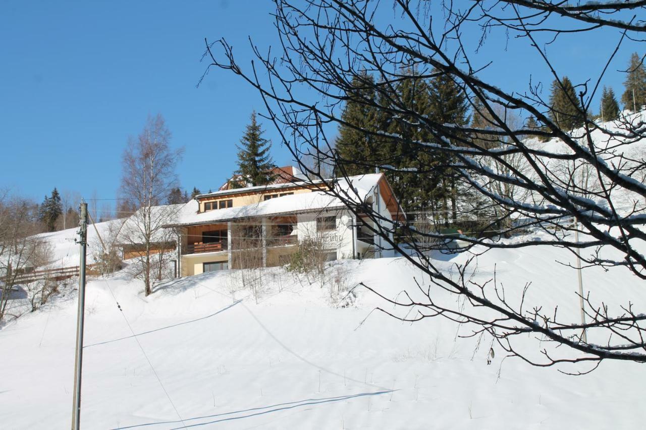 Apartment Black Forest Apartements By Gruener Baum Feldberg Feldberg (Baden-Wurttemberg)