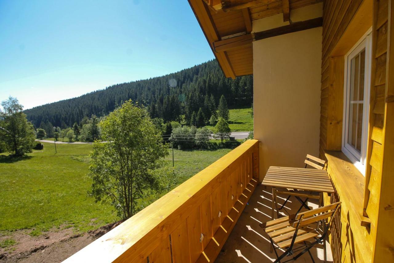 Black Forest Apartements By Gruener Baum Feldberg
