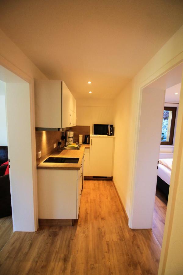 Apartment Black Forest Apartements By Gruener Baum Feldberg
