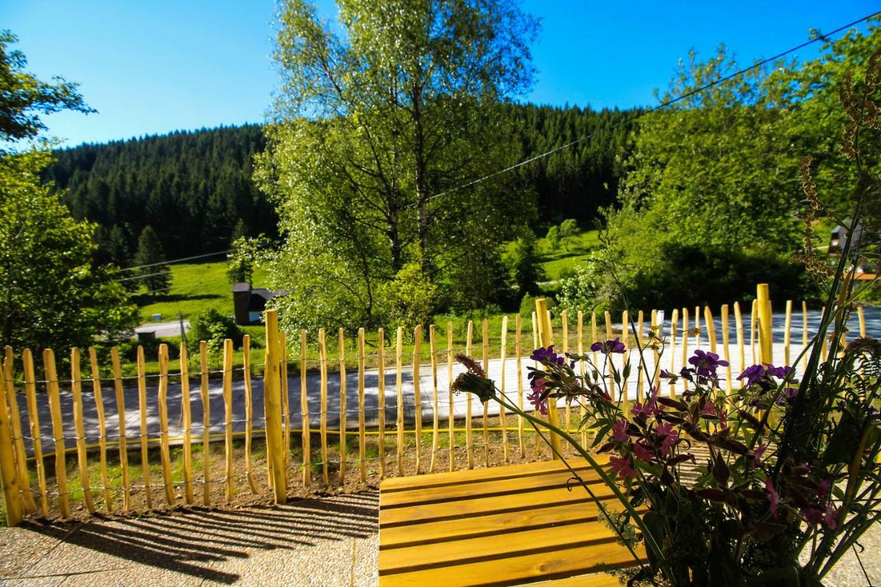 Black Forest Apartements By Grüner Baum Feldberg Apartment